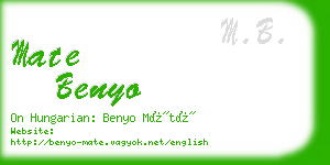 mate benyo business card